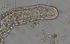 eB(麖??顠-爱游戏官方网站