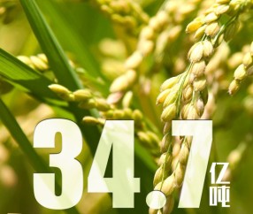 今晨体能课后，马赛外线爆发备战欧篮联，底气十足，医务组通报恢复(孙颖莎倒地爆冲得分引全场沸腾)-AYX SPORTS